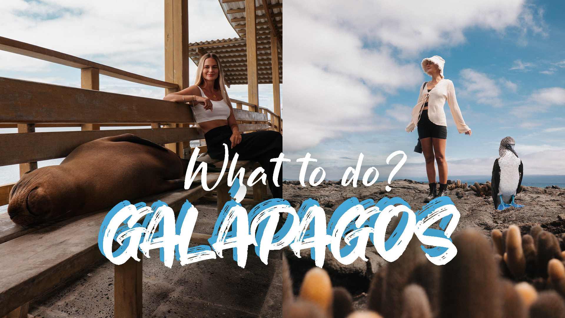 YouTube thumbnail with a traveler sitting next to a sea lion on a bench and exploring volcanic landscapes in the Galápagos Islands, with text “What to do in Galápagos.”