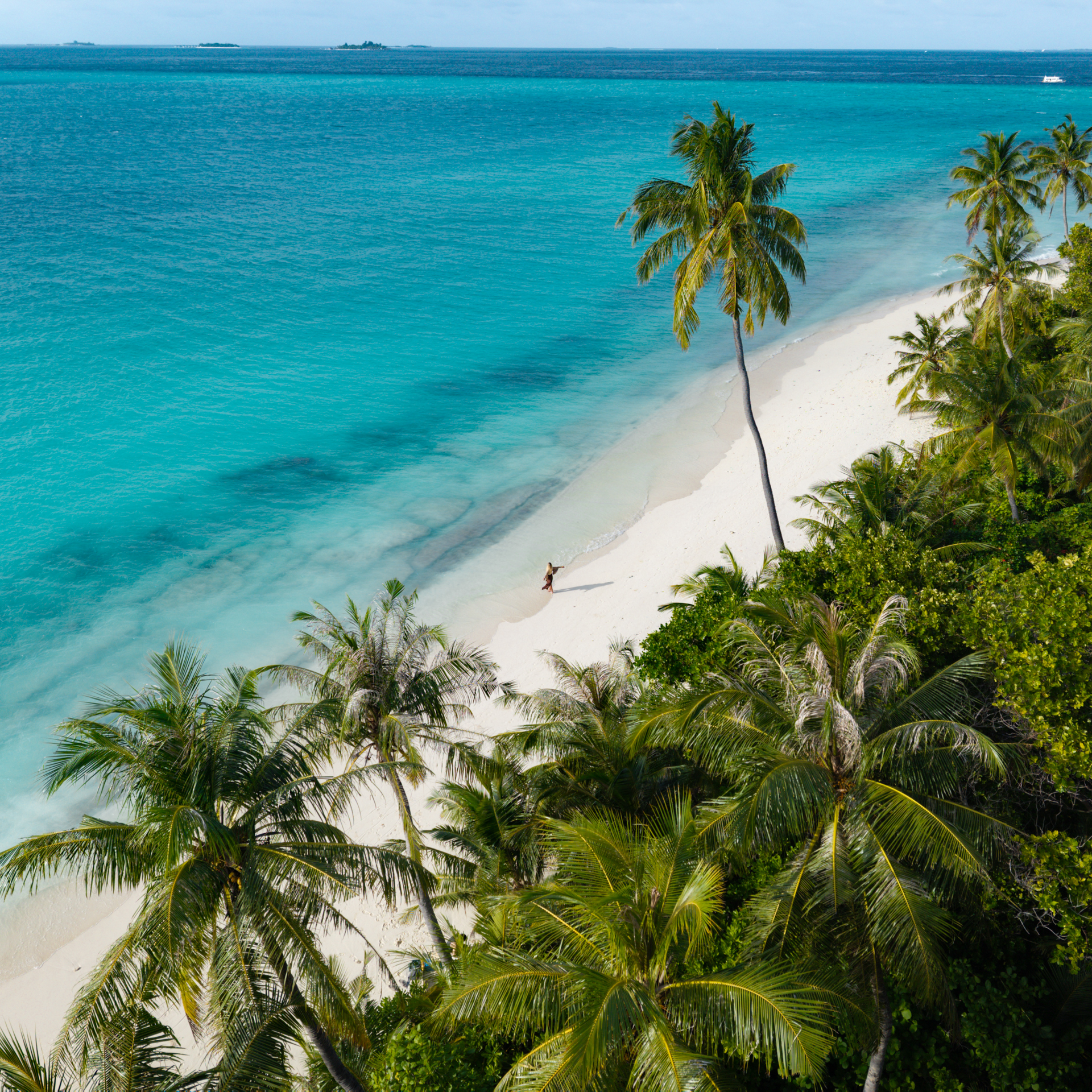 Aerial view of woman walking along white sand beach with turquoise water, the local Dhigurah Island, Maldives