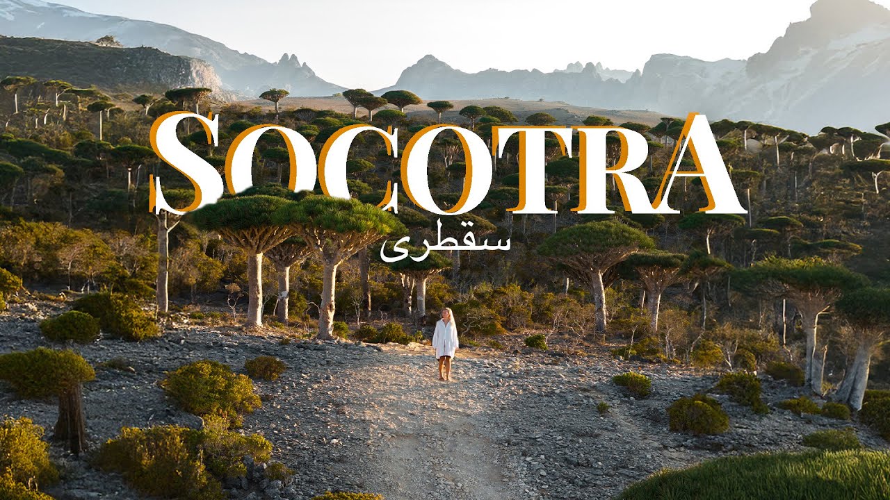 YouTube thumbnail of the unique Dragon Blood trees in Socotra, Yemen, with a traveler walking through the landscape.