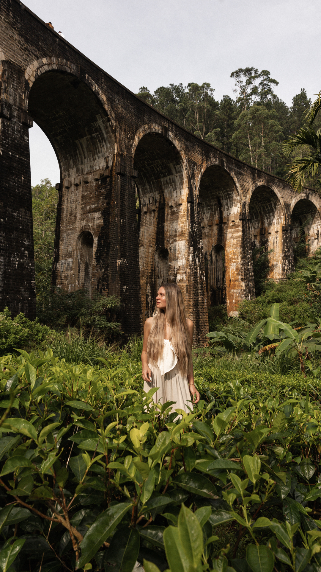 Ella Woman standing in tea fields under Nine Arch Bridge in Ella, Sri Lanka