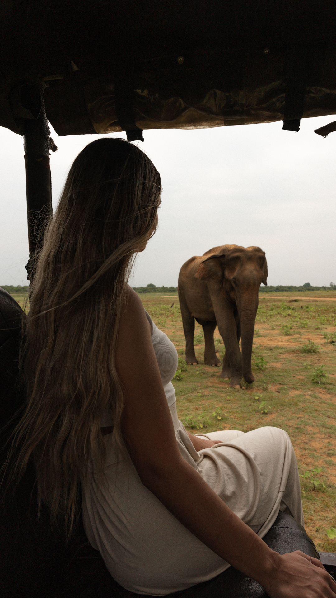 Udawalawe Woman on safari jeep watching wild elephant in Udawalawe, Sri Lanka