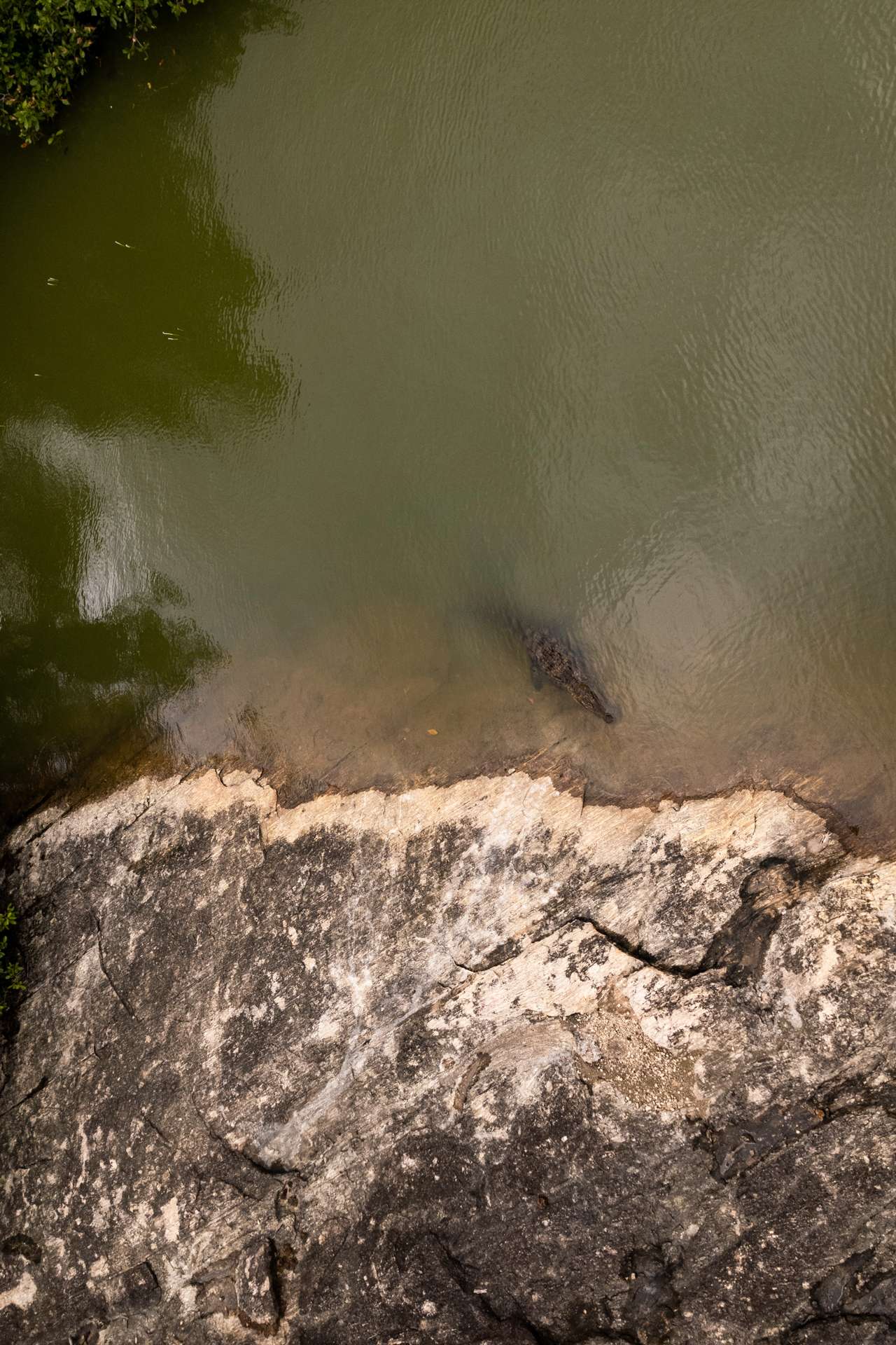 Visiting the Crocodile Lake - Panama Tank in Arugam Bay, east coast in Sri Lanka.