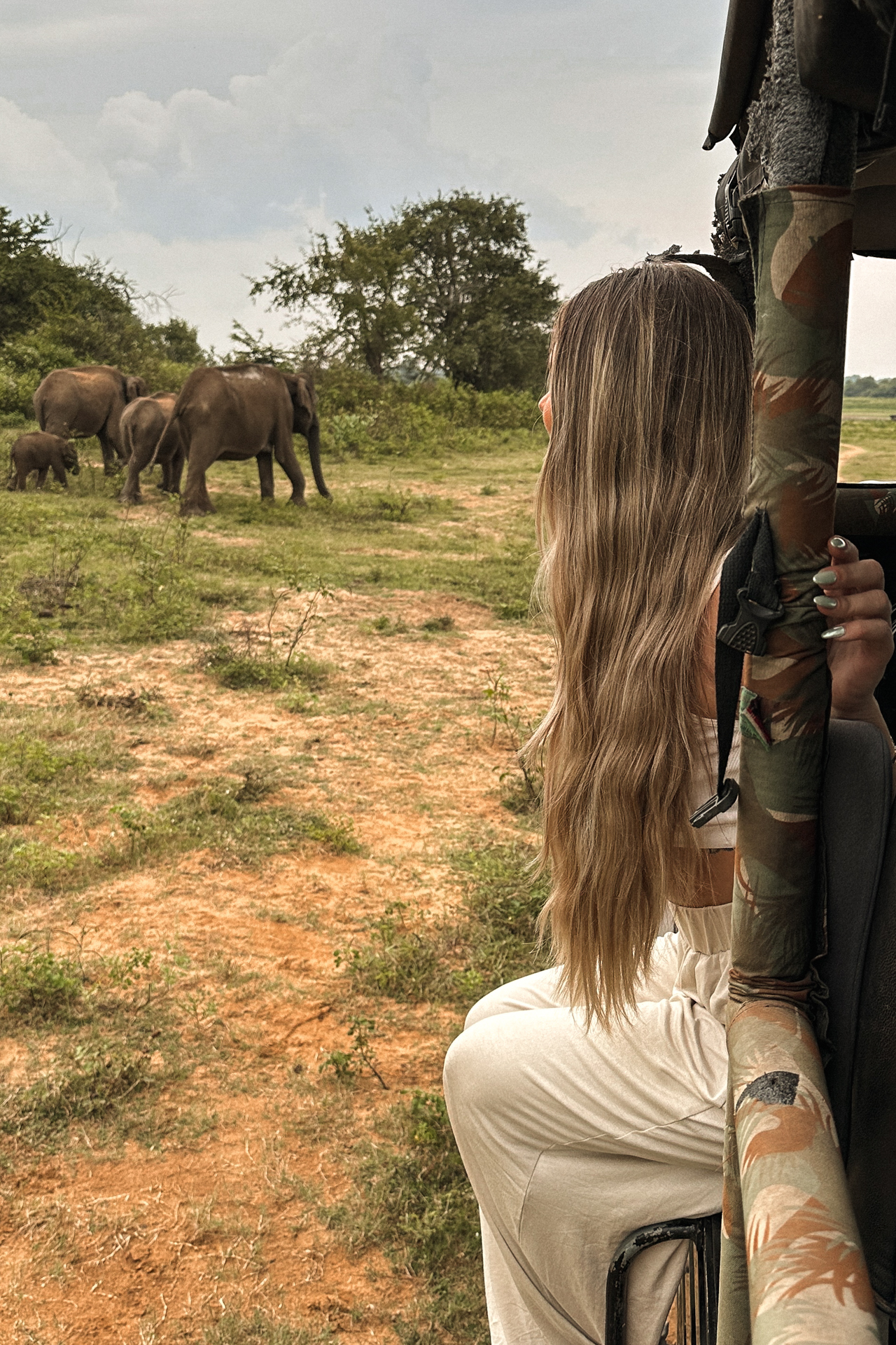 Woman on safari observing a herd of elephants with a baby in Udawalawe National Park, Sri Lanka.