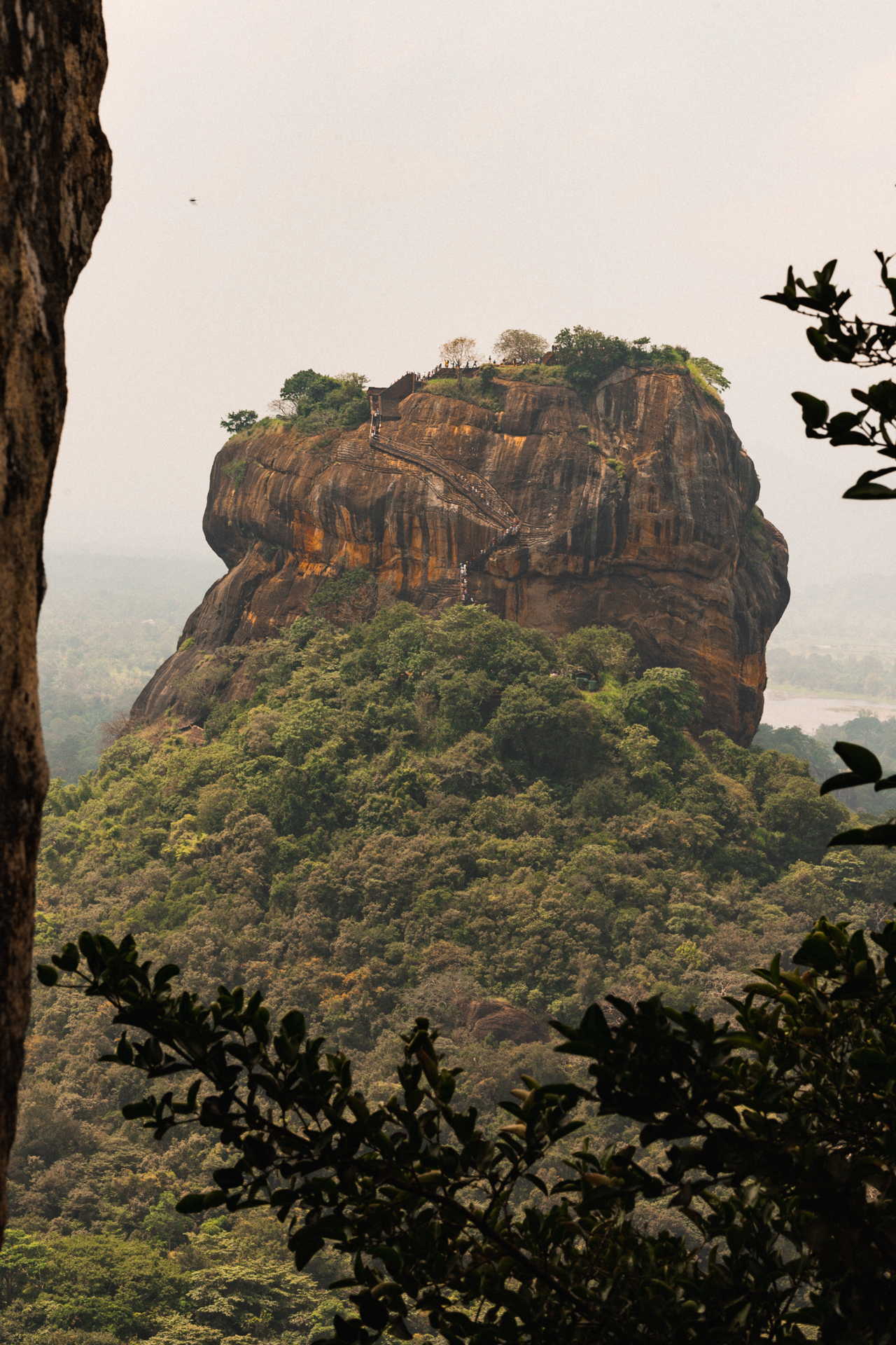 Side view of Sigiriya Rock Fortress with the stairway leading to the summit, framed by trees.