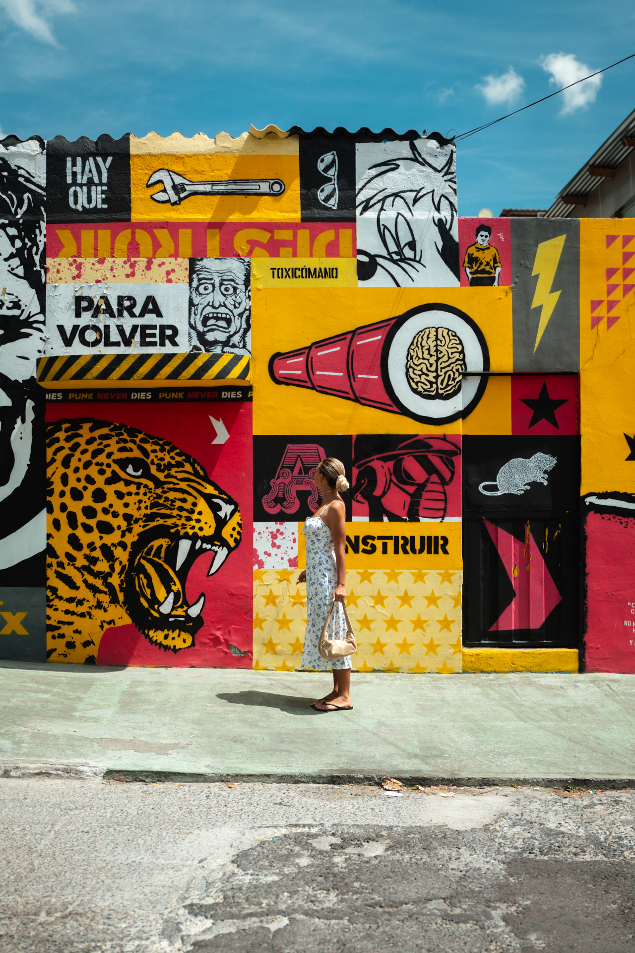 Quito Woman standing in front of a colorful mural in Quito, Ecuador, featuring bold street art designs with animals and symbols.