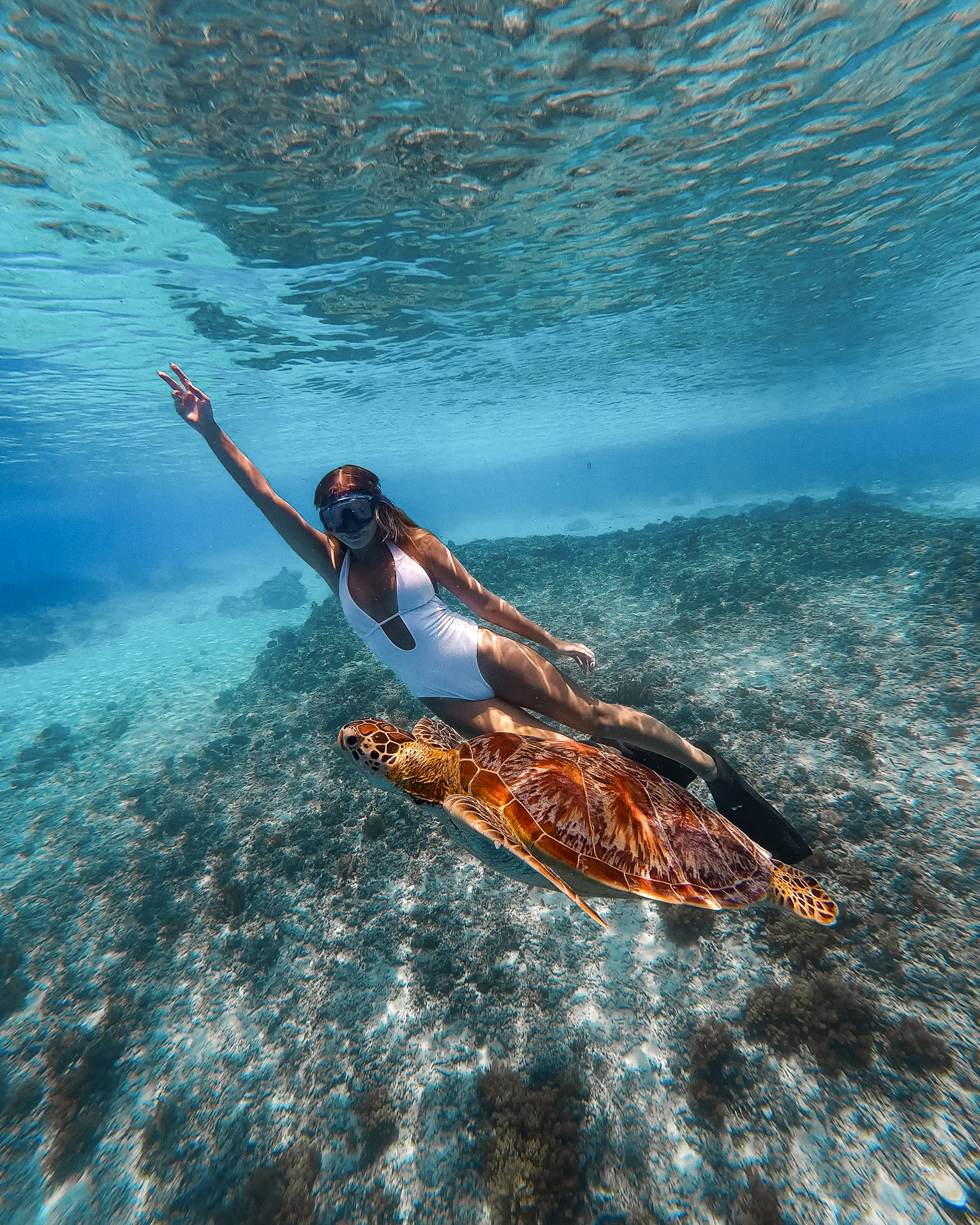 Gili Islands Woman snorkeling underwater alongside a sea turtle in the crystal-clear waters of the Gili Islands.