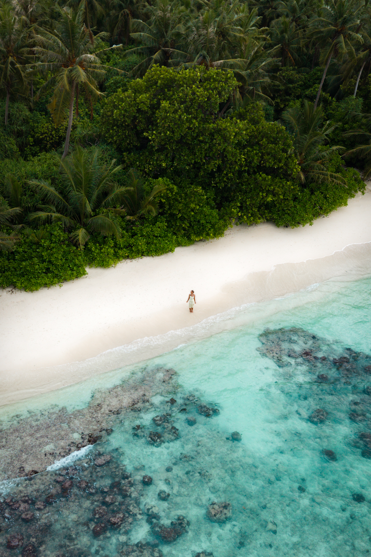 Dhigurah Island White sandy beach and lush greenery at Dhigurah, Maldives, with turquoise waters meeting the shore.