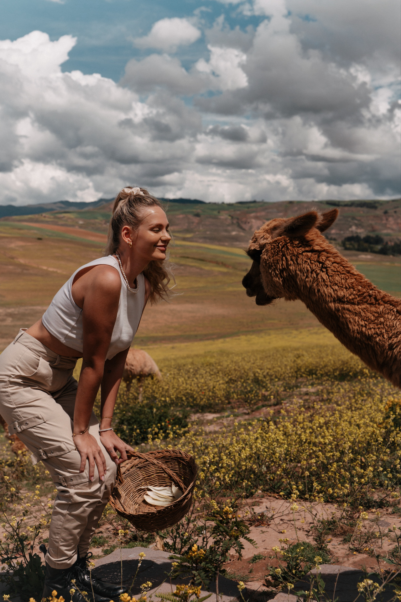 Sacred Valley, Peru Woman standing in front of an Alpaca in Peru, Sacres Valley