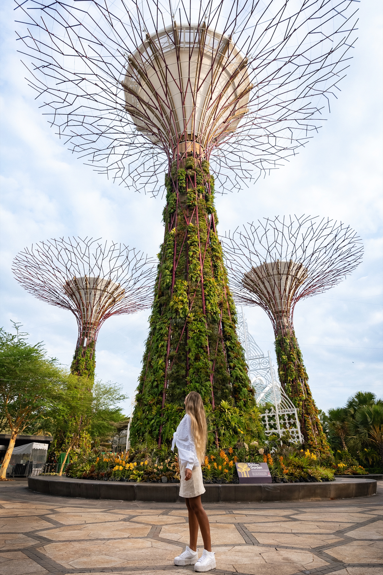 Singapore’s Gardens by the Bay Woman looking up at towering Supertrees in Singapore’s Gardens by the Bay.