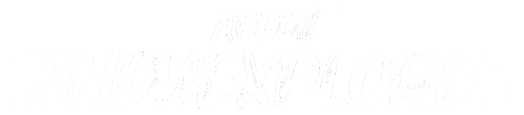 about sindyexplores